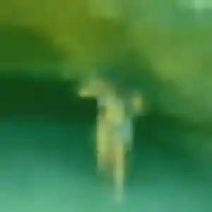 Photo de Thais à Ablon-sur-Seine (40 ans) - plan cul gratuit