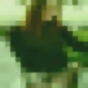 Maya, 34 ans, cherche un plan cul à Ahuy