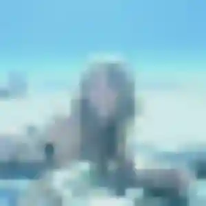 Elena, 28 ans, veut un plan cul à Ailly-sur-Noye