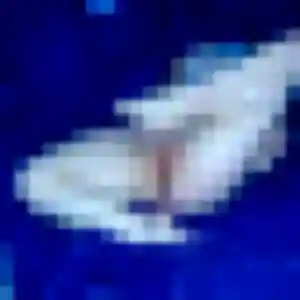 Charmante Prune, 34 ans à Alboussière - voir sa photo