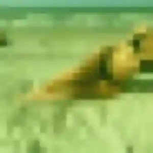 Photo perso de Ségolene, 29 ans à Alboussière - rencontre sans lendemain