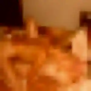 Yasmine (39 ans) à Alénya cherche un plan cul ce soir