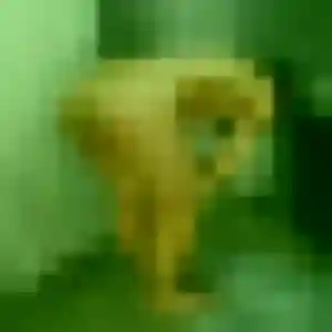 plan cul à Alès : profil de Ximena, 31 ans - inscription gratuite