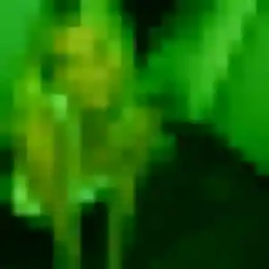 Contacte Zina, 33 ans à Algolsheim en privé