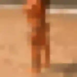 Vanessa, femme de 39 ans propose plan cul à Alignan-du-Vent