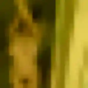 Prisca, 40 ans, disponible à Allonnes pour une rencontre coquine