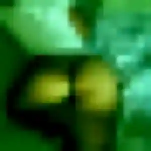 Jade, femme de 41 ans propose plan cul à Alquines