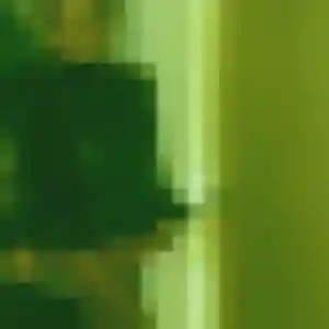 Belle Roxane, 34 ans à Altorf - la contacter