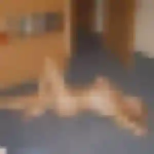 Photo sexy de Isabelle, 44 ans à Alvignac - rencontre coquine