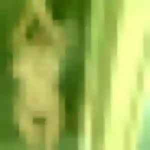 Photo perso de Garance, 32 ans à Ancelle - rencontre coquine