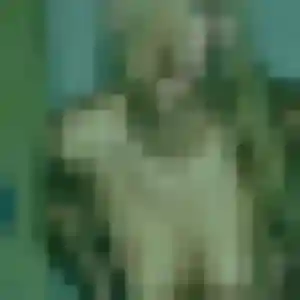 Photo perso de Josephine, 35 ans à Andel - plan discret