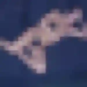 Wanda (41 ans) à Angerville cherche une rencontre maintenant