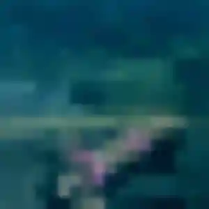 Rencontre Mila, 31 ans à Angles gratuitement