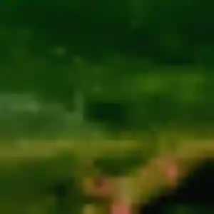 Profil de Valerie à Anizy-le-Grand (27 ans) - plan cul discret