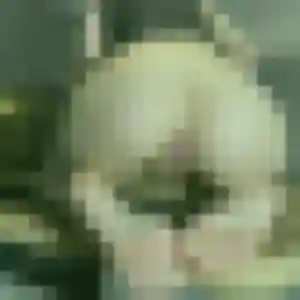 Diane, 43 ans, disponible à Anneville-Ambourville pour une rencontre coquine