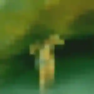 Christelle, femme de 34 ans cherche plan cul à Appietto