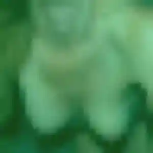 Flore (33 ans) à Appoigny cherche un plan cul rapidement