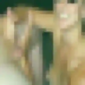 Jolie Viviane, 39 ans à Arbus - voir sa photo