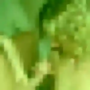 plan cul à Argences en Aubrac : photo de Ines, 40 ans - sans engagement