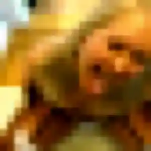 plan cul à Argy : photo de Mathilde, 29 ans - sans engagement