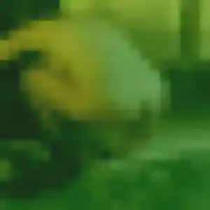 Profil de Suzanne à Armeau (37 ans) - plan cul discret