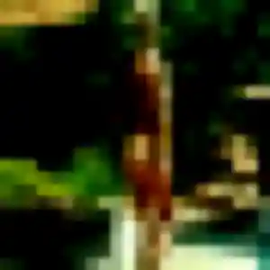 Photo perso de Paulette, 22 ans à Armentières-en-Brie - rencontre sans lendemain