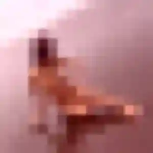 Photo sexy de Soizic, 38 ans à Attin - rencontre sans lendemain