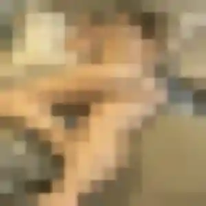 Rejoins Giulia, 34 ans à Aubignosc en privé