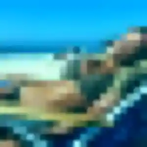 Rencontre Renee, 42 ans à Aubigny-Les Clouzeaux en t'inscrivant