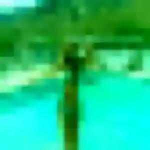 Daphne (29 ans) à Aubigny-sur-Nère propose une rencontre rapidement