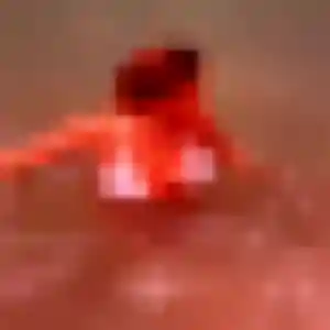 Contacte Lilou, 29 ans à Auriol gratuitement