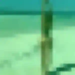 Sexy Amelie, 37 ans à Auvillers-les-Forges - la contacter