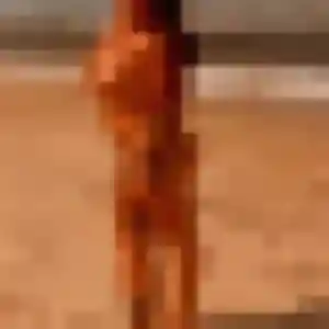 Laure, 25 ans, en ligne à Auvillers-les-Forges pour une rencontre coquine