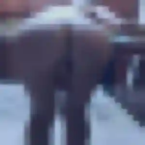 Lena de Auzances, 43 ans - plan cul discret