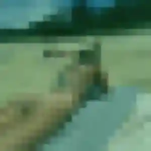 Photo de Elsa à Awala-Yalimapo (28 ans) - plan cul discret
