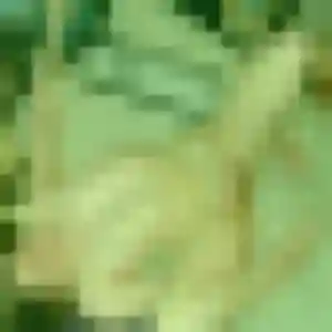 Julie-Anne de Aÿ-Champagne, 38 ans - plan cul sans prise de tête