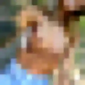 Photo privée de Jeannette, 23 ans à Azur - rencontre sans lendemain