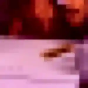 plan cul à Bagnols-sur-Cèze : profil de Viviane, 37 ans - accès libre