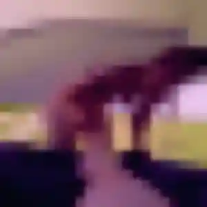 Photo perso de Dominique, 29 ans à Bais - rencontre sans lendemain
