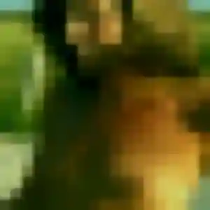 Photo de Ninon à Baldenheim (33 ans) - plan cul anonyme