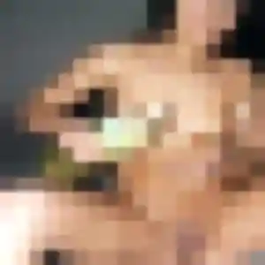 Margot, fille de 32 ans cherche plan cul à Barbaira
