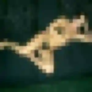 Photo sexy de Anouk, 24 ans à Barcelonne-du-Gers - plan discret