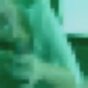 Photo de Corinne à Bardos (34 ans) - plan cul discret