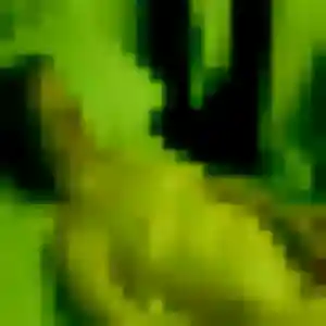 Profil de Anna à Barsac (38 ans) - plan cul anonyme