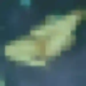 Patricia, femme de 22 ans cherche plan cul à Beaucamps-le-Vieux