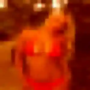 Charmante Lisa, 34 ans à Beauce la Romaine - découvrir son profil