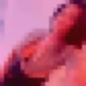 Photo exclusive de Rachelle, 23 ans à Beaupréau-en-Mauges - rencontre coquine