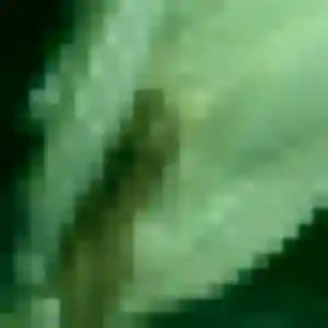 Capucine (24 ans) à Beauvoir-de-Marc attend un plan cul aujourd'hui