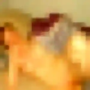 Photo perso de Mila, 24 ans à Bégard - rencontre sans lendemain
