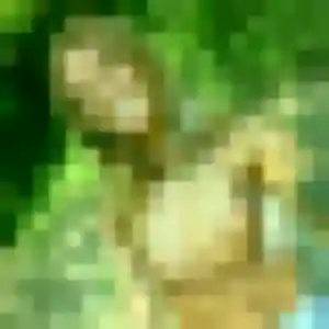 Ines (26 ans) à Bellefont-La Rauze propose un plan cul maintenant